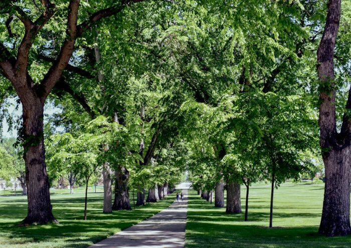 闲鱼选品的终极秘密：3块钱的东西，居然能卖50